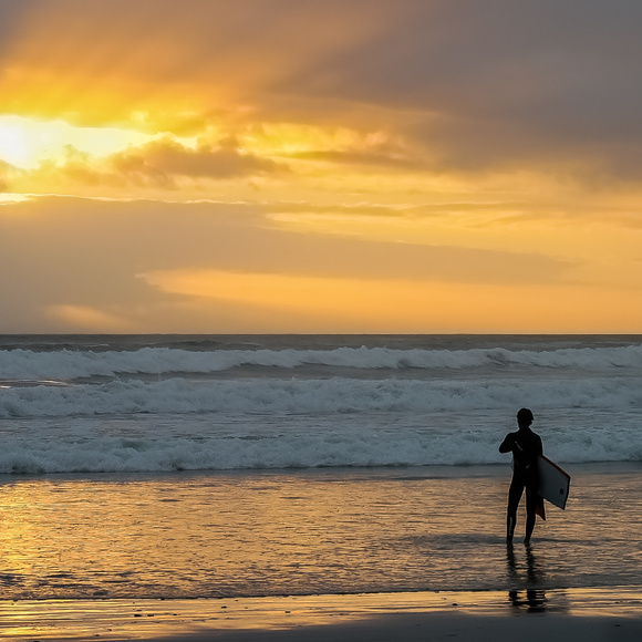 Meet your Posher, Joe - Picture 8 of 8